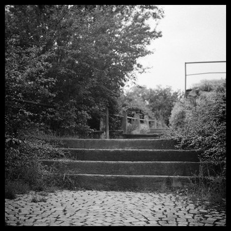 Z Komína do Žabovřesk