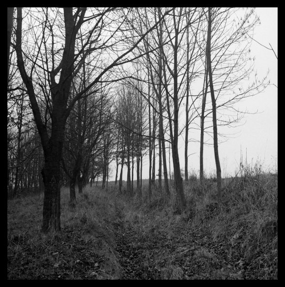 Nad Hlubokými Dvory