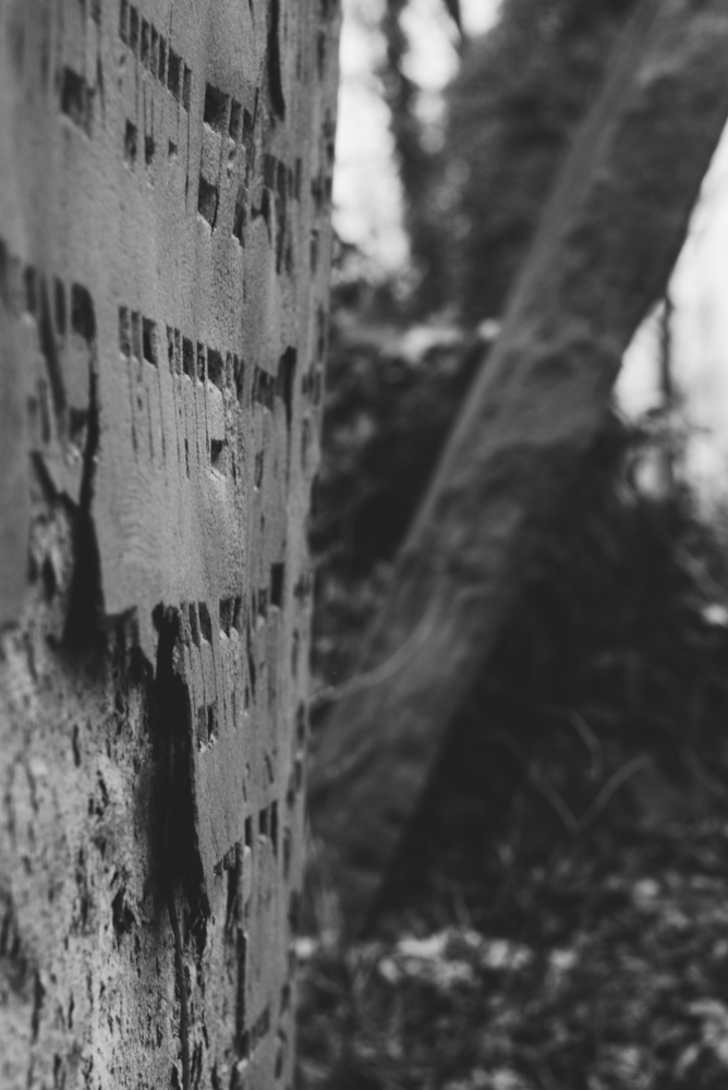 Cieszyn - židovský hřbitov