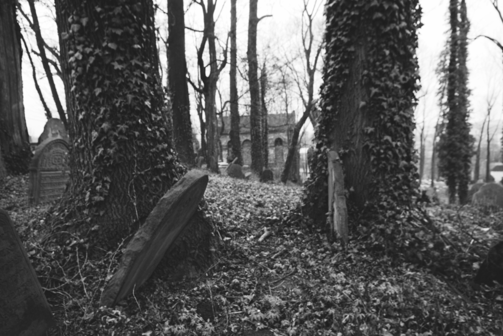 Cieszyn - židovský hřbitov