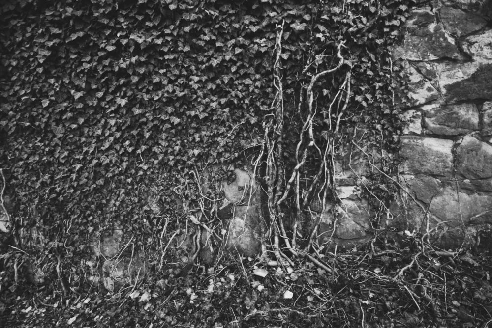 Cieszyn - židovský hřbitov