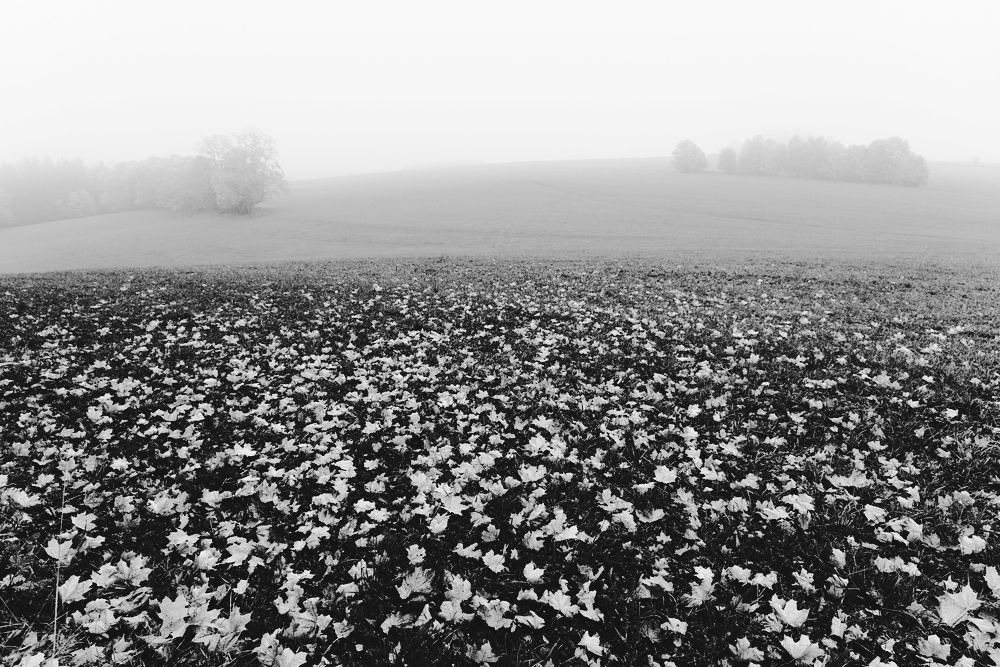 Za Řeznickou kaplí