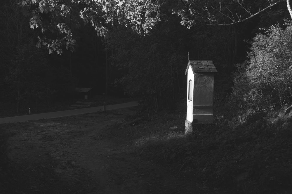 Pod Medvědí roklí