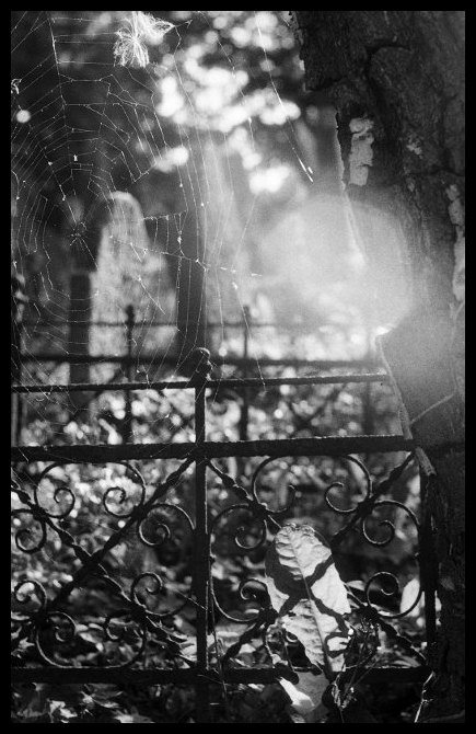 Židovský hřbitov Ivančice