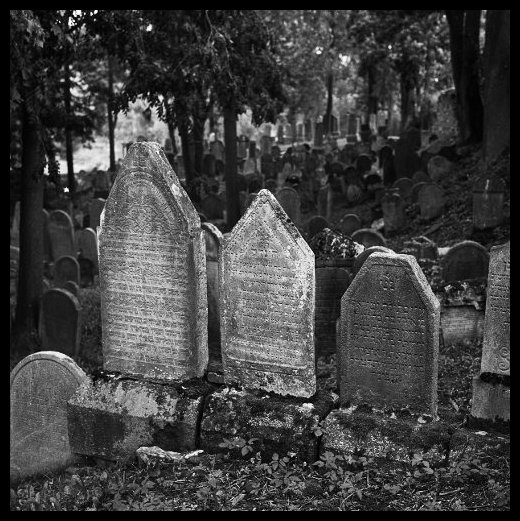 Židovský hřbitov v Polné