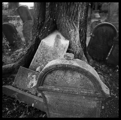 Židovský hřbitov u Větrného Jeníkova