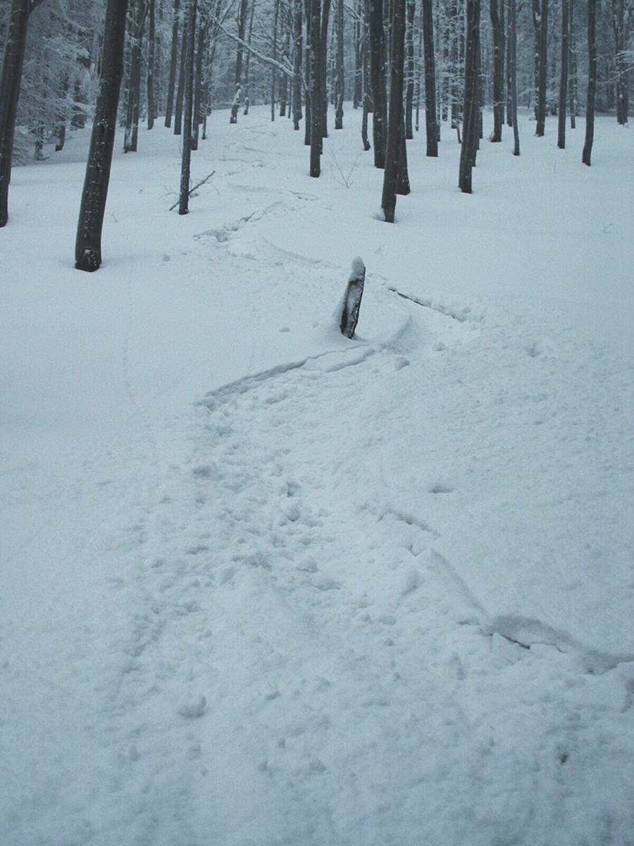 Průsek z vrcholu Ostrého