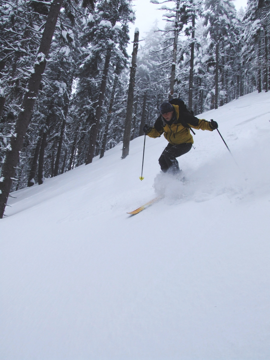 Od boudy dolů do Sviního dolu