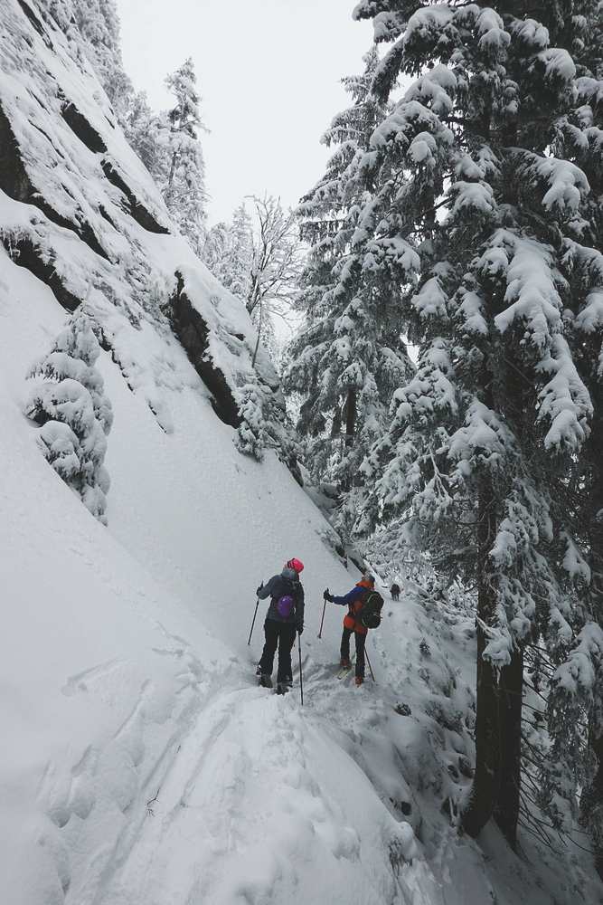 Na Keprník chodíme po loveckých chodnících