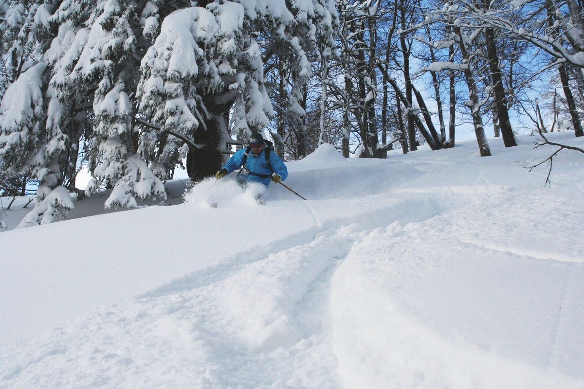 Když se objeví prašan, je to svátek