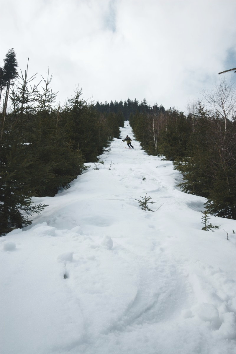 Ano. Třešnička na dortu.