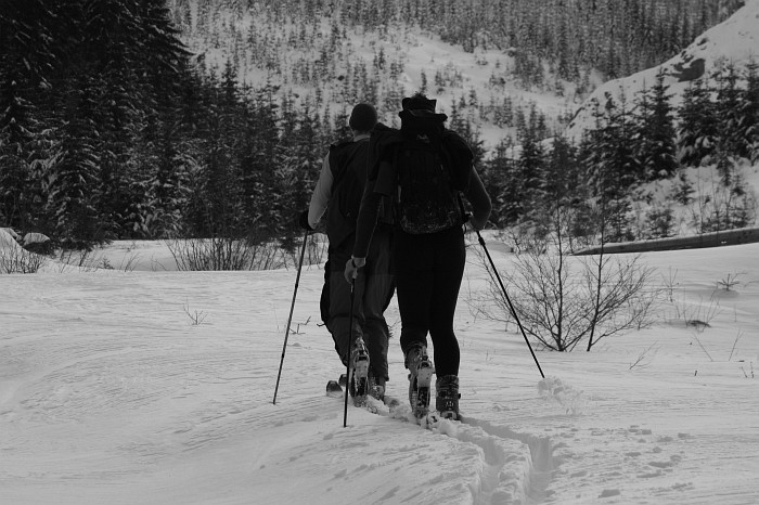 Povidláci tak, jak je všichni známe