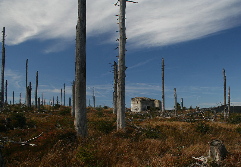 Dík za přespání.
