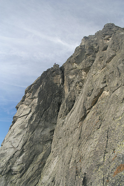 Tak už leť holubičko, neeee?