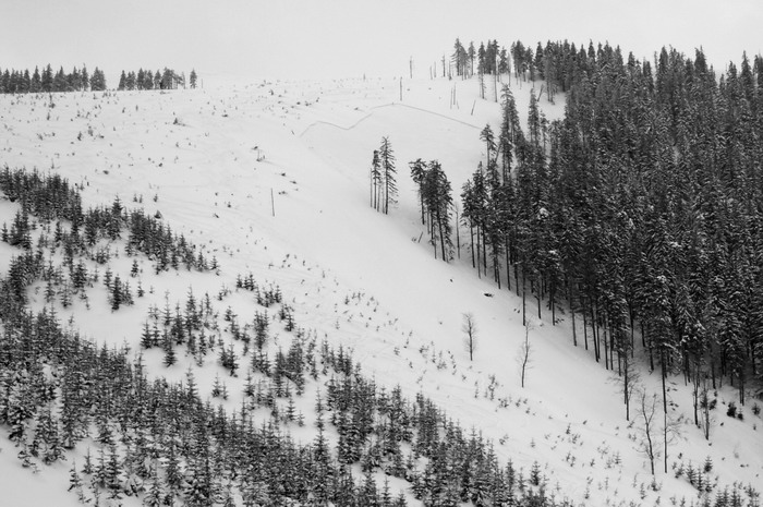 A pak že to v lese nepadá.