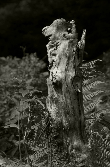 V kotli pod Kraličákem