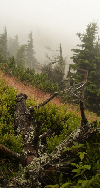 Na svazích Velkého Máje