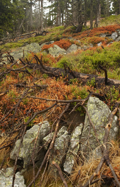 U Ztracených kamenů