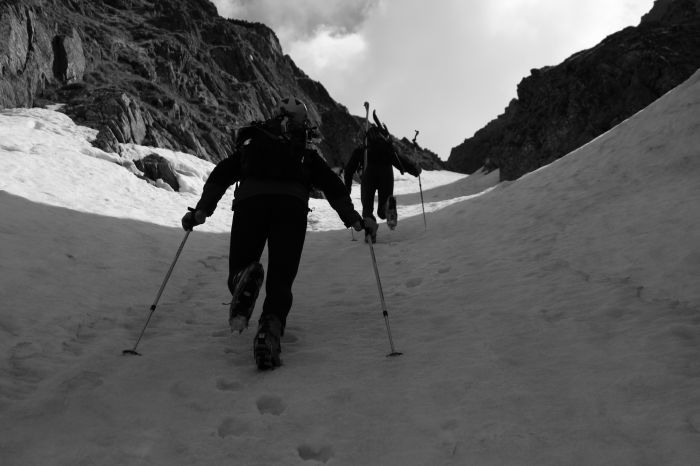 Na každé focení doplácím vyčerpávajícím stíháním - špekouni už mi zase utíkají