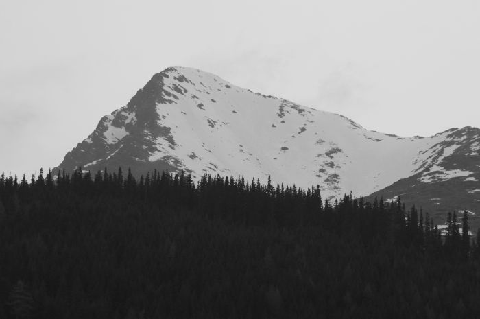 Sněhová pole na Kriváňi