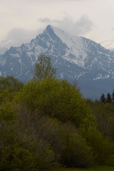 Kriváň - kousíček pod vrcholem jsme to v neděli otočili, ale i tak tobyl nejméně kilákovej sjezd (s lesní vložkou v každém případě)