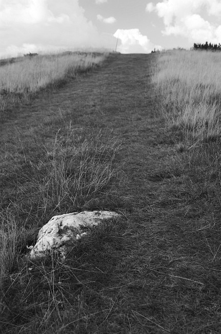 Cestou k Andrejcové