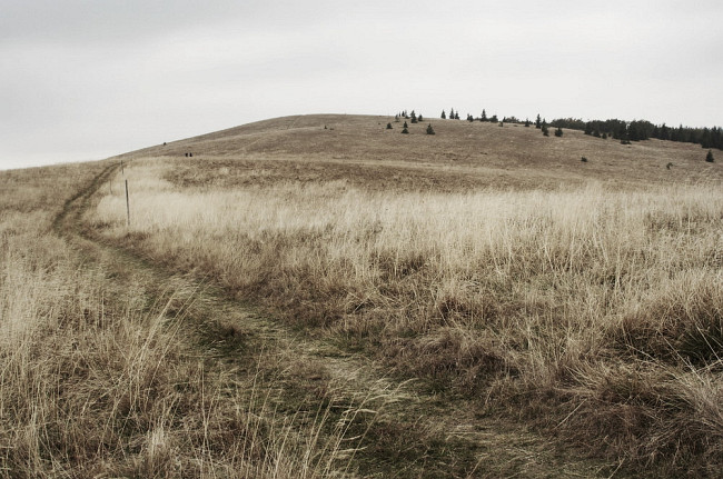 Pod Kozím chrbátom