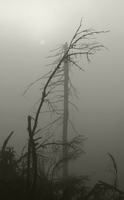 Tak hodně štestí při obnově všech polomů