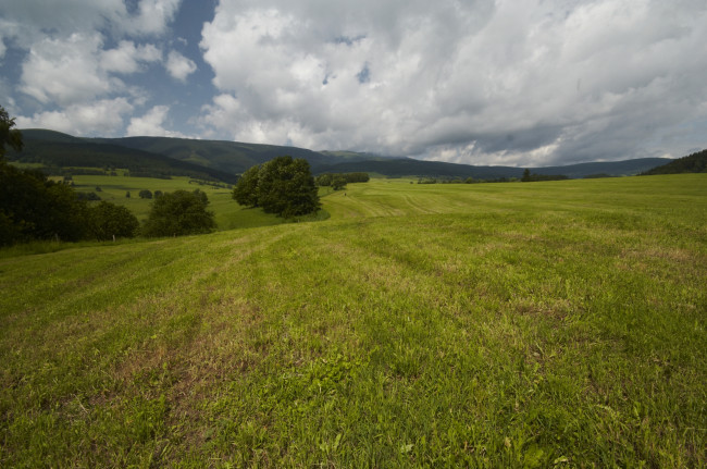 Na loukách nad Starým městem