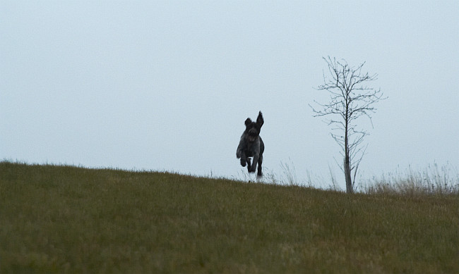 Na loukách pod Drátníkem