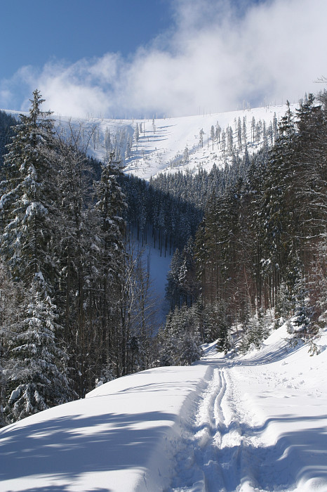 Sjezd z hřebene mezi Tetřeví horou a Sušinou jsem měl vyhlídnutý už pěkně dlouho