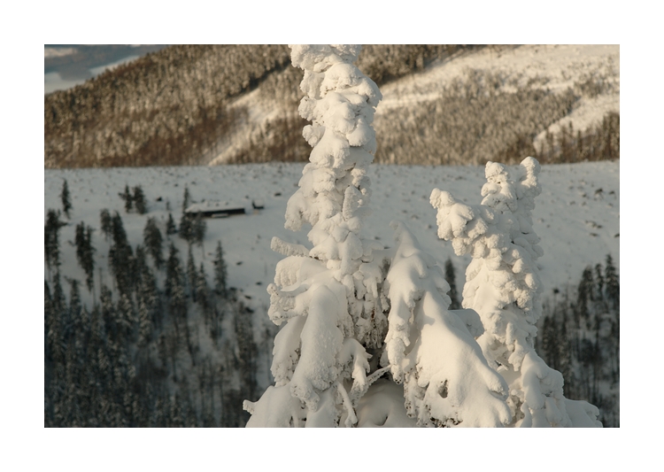 Františkova myslivna