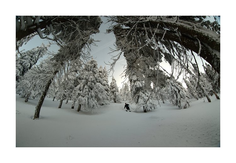 Sviní důl nezklamal