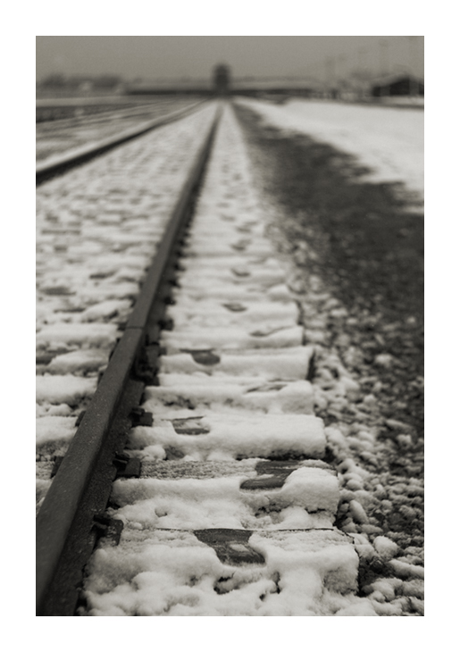 Zima v Birkenau