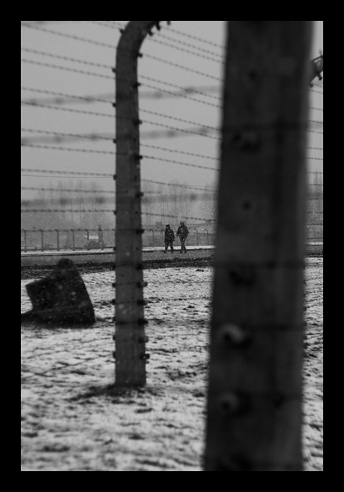 Zima v Birkenau