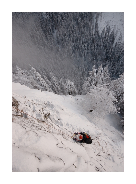 Divokáč (pro Milouše Divočák)