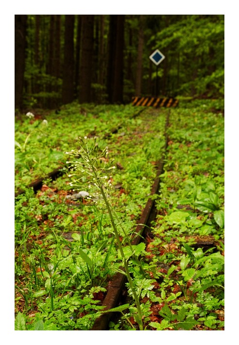 V jedné z úvraťí