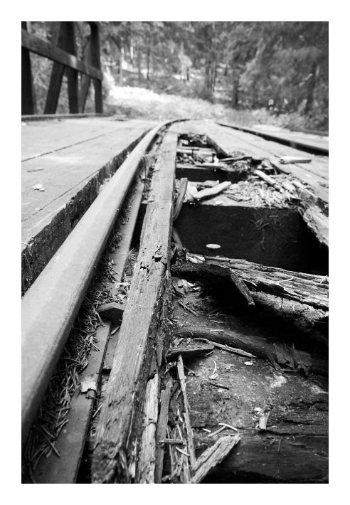 Na mostě v hlubokých lesích