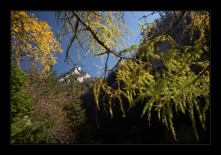 Podzim v Prosecké dolině