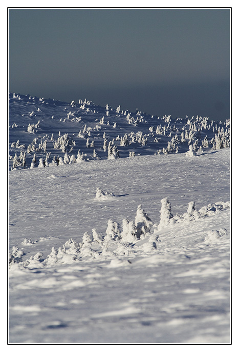 Pod Pradědem před západem slunce