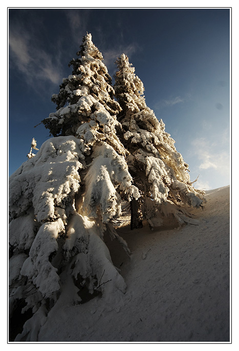 Zlaté světlo před západem