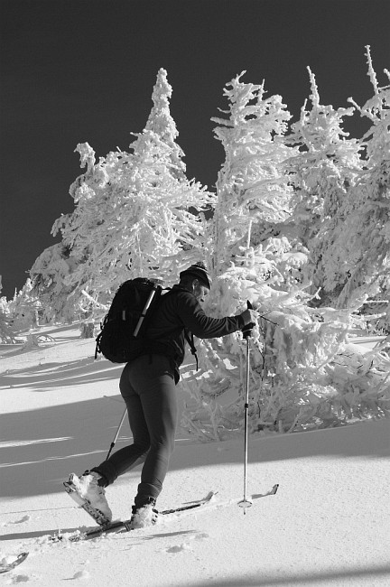 Luboš ve Sviním dole