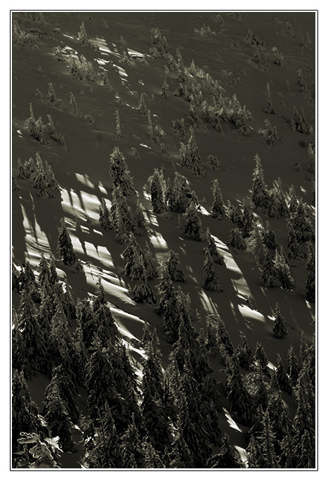 Sníh ve Sviním dole