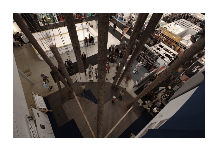 Zobčovy dřeva - Tomík, Milouš, Lukin a další :-)