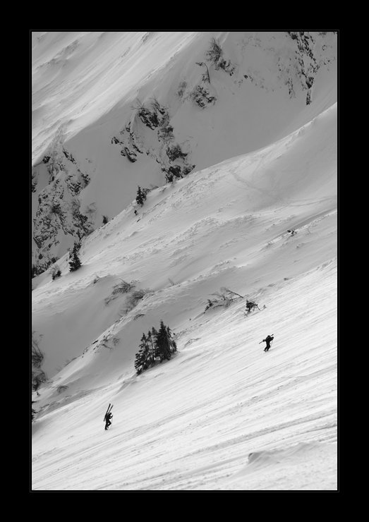 Skalky v Jeseníkách