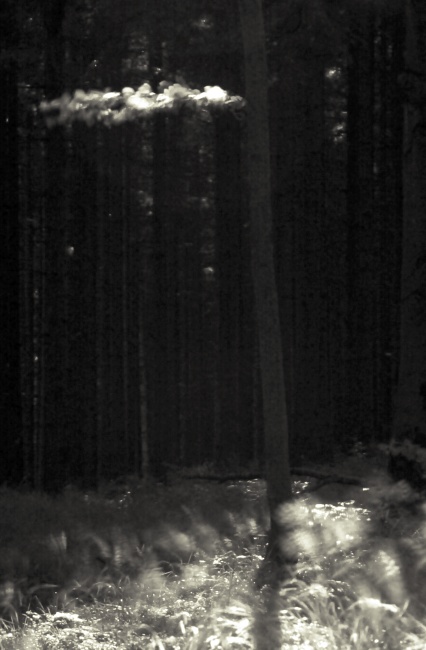 Vítr u staré hájovny