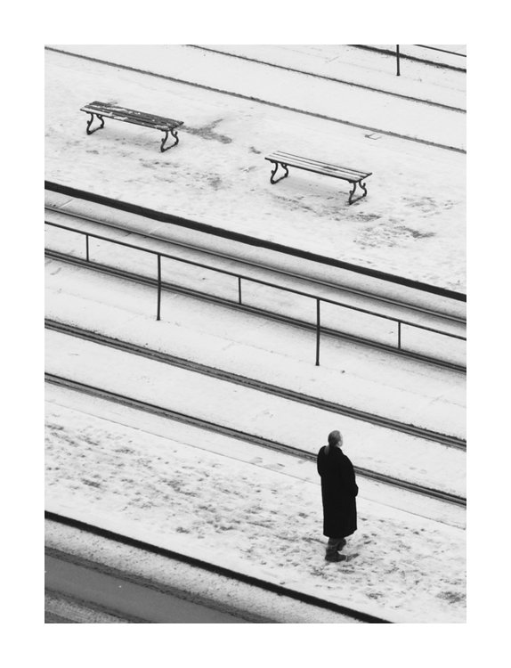 Černobílé odpoledne