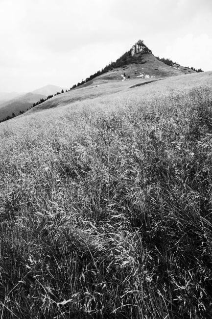 Čierny kameň, 1479m