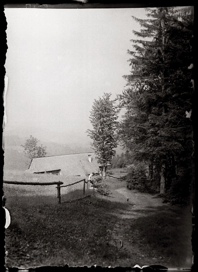Z cesty Vel. Karlovice - Třeštík, začát. Července 1940