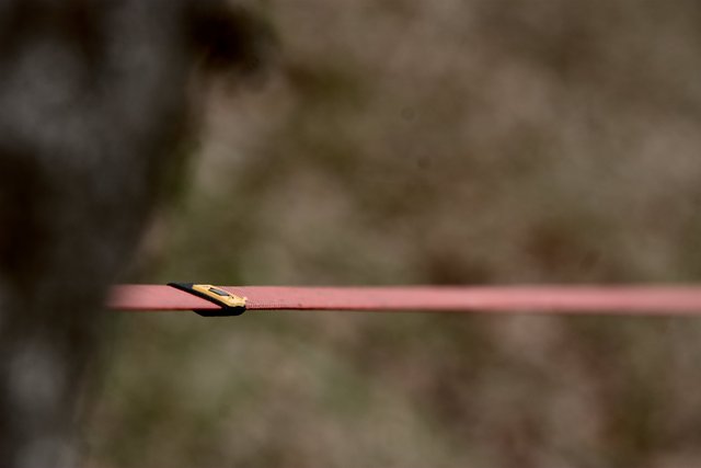 Tato šipka nám udávala směr celou sobotu.